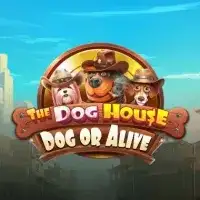 The Dog House Dog or Alive